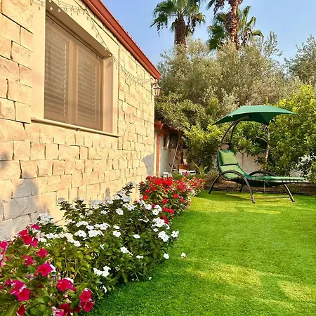 Villa Giulia *